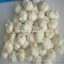 White garlic